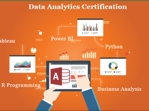 Job Oriented Data Analyst Course in Delhi, 110088.