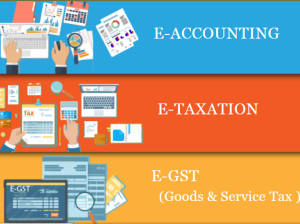 E-Accounting Course in Delhi, “Learn Direct Tax