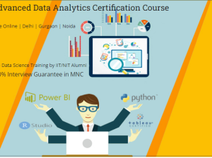 Data Analyst Course in Delhi.110011. SLA