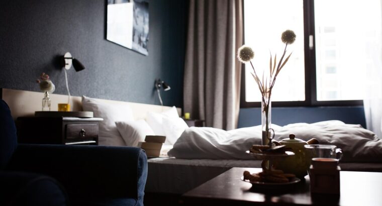 Professional Car Detailing That Turns Heads Interior & Exterior