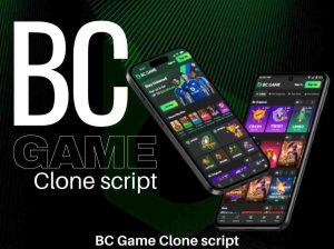 BC.Game Clone Script | Free Live Demo