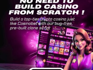 WhiteLabel CasinoBet Clone Script – Minimal Investment