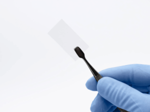 Acesso Biologics – Amniotic Membrane Allograft