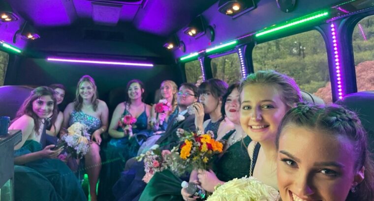 Party Bus Rental Service in Edison