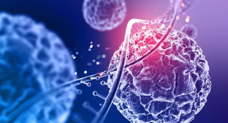 Acesso Biologics – Advanced Amniotic Membrane Allograft Solutions