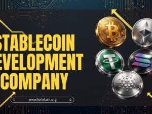 End-to-End Stablecoin Development for Web3 and Fintech Innovation