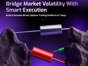 Crypto Margin Trading Exchange Development – Hivelance