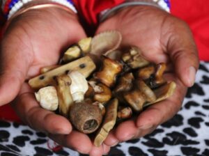 DESTROY WITCHCRAFT +27608019525 REVENGE SPELL IN ITALY NORWAY AUSTRIA VIENNA U.A.E. CANADA, USA, FI