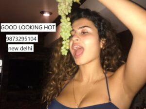 ✅Rohini Sector 23 Call Girls ✿╬98⤏732⤏95104╬✿ Escorts Service